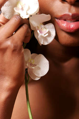 Gorgeous african american young woman holding white orchid flower on her faceの写真素材