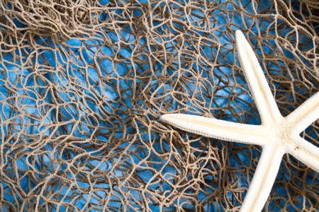 Sea Star on fishing net studio shot
