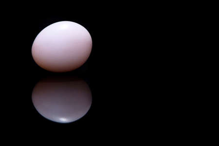 White egg on black background with reflectionの写真素材