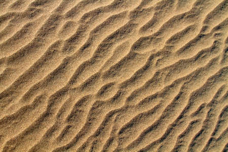 Ripples on closeup sand textureの写真素材