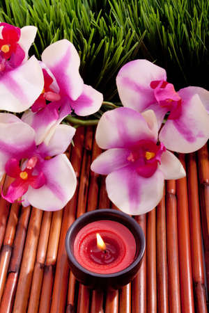 Spa candle and colorful orchid flower for aromatherapy meditationの写真素材