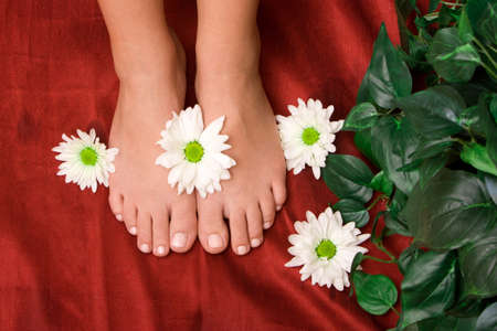 Daisies on a woman's feetの写真素材