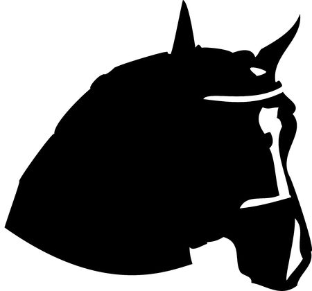 Horse Headの写真素材