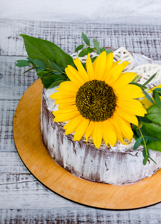 a bright sunflower summer chocolate cakeの写真素材