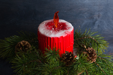 Christmas candle cake with caramel flame decorated with pine treeの写真素材