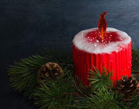 Christmas candle cake with caramel flame decorated with pine treeの写真素材