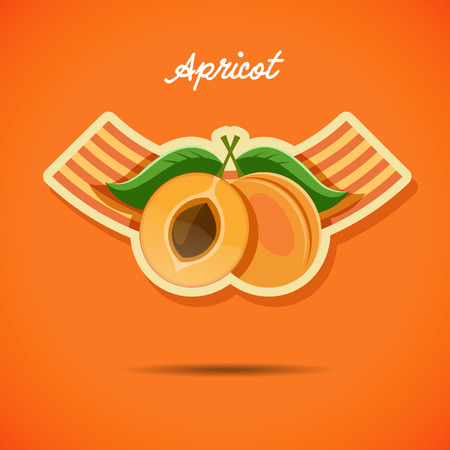 Emblem design with apricot - stock vector illustration.のイラスト素材
