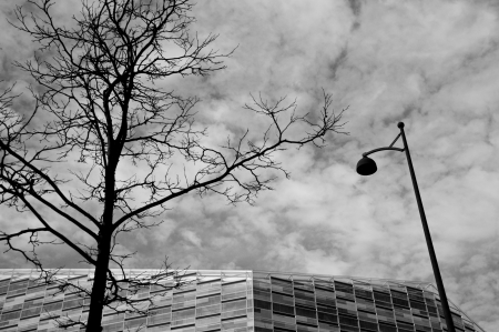 Tree and lamp looking at the buildingのeditorial素材