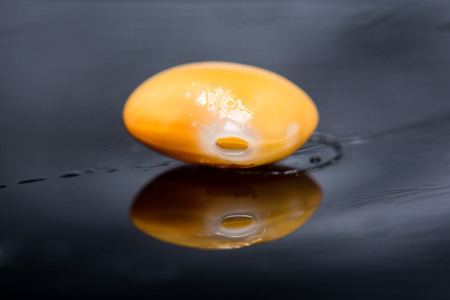 Fresh legumes lupins in macroの写真素材
