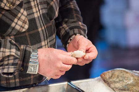 fisherman control the norway lobsters in the handの写真素材