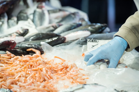 Fisherman sell seafood at the fish market