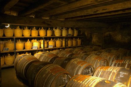 Old cognac in the wood