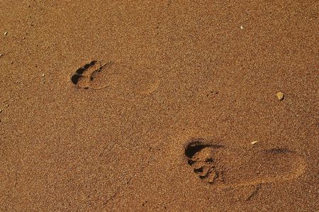 couple footsteps on the sandの写真素材