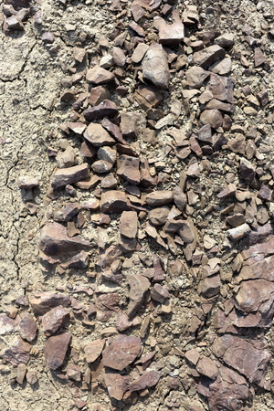 Brown clumps of dried clay on dry ground, close-up, top view.の写真素材