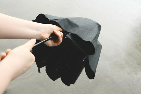 Female hands open a black umbrella under the doge.