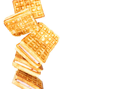 Viennese waffles, isolate. Flat lay with copy space. Sweets on a white background.の写真素材