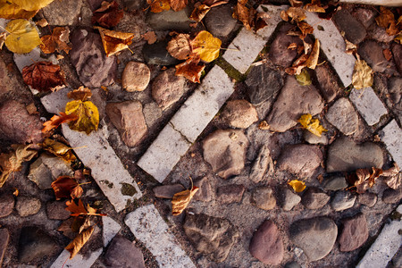 Beautiful background with autumn foliage. Foliage on the old pavement. Abstract background.の写真素材