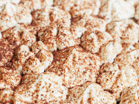 Cream cheese with cocoa. Close-up on tiramisu cake decorated with curd cream, filled with cocoa. Sweet background.の写真素材