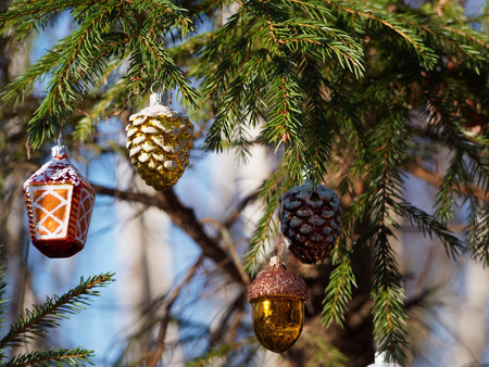 Christmas fir tree close up. Decorated Christmas tree on the street.の写真素材