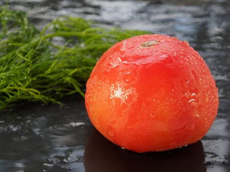 Tomato and a branch of fresh fennel on a black background. Wet still life in drops.の写真素材