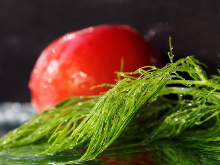 Still life with dill and tomato. Dill in the foreground, tomato out of focus. Ingredients for the salad.の写真素材
