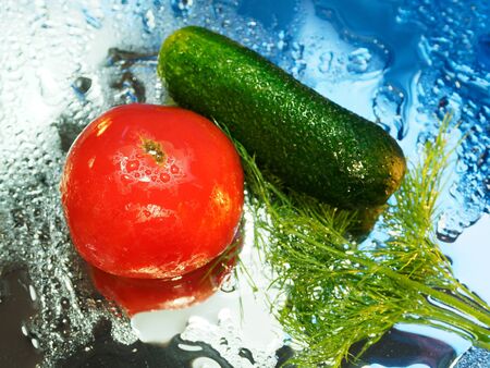 Tomato and dill and cucumber in drops against a blue mirror background. Beautiful wet still life.の写真素材