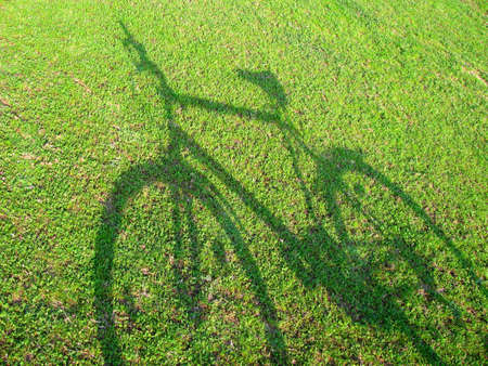 Shadow of modern bicycle on green grassの写真素材
