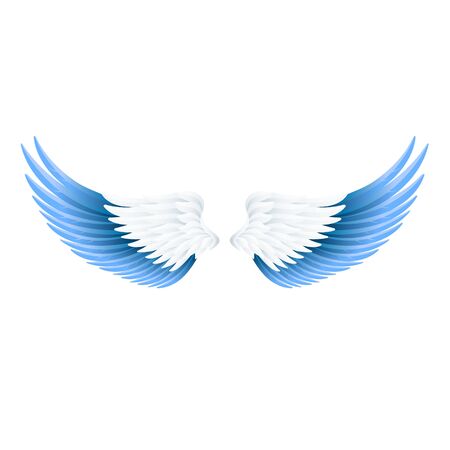 Vector realistic angel wingsのイラスト素材