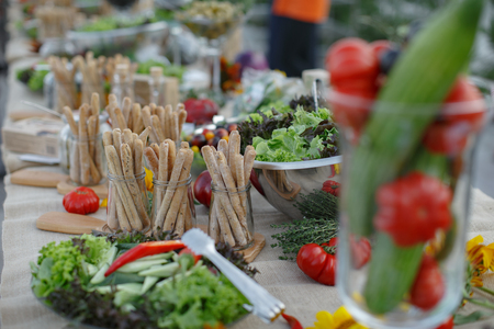Outdoors fourchette table with fresh vegetables and grissiniの写真素材
