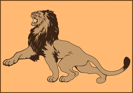 Colored vector image of a lionのイラスト素材