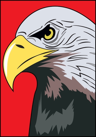 Head of eagle, color image of an eagle's head with a curved beak on a red backgroundのイラスト素材