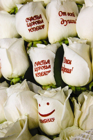 Buquet of white roses with wishesの写真素材