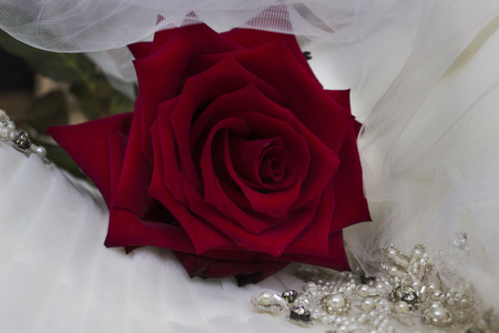 Piece of wedding dress beaded embroidery with red roseの写真素材