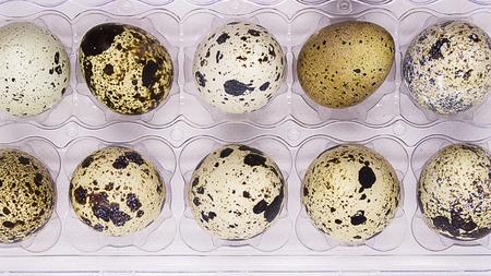 Isolated quail eggs. Big collection of quail eggs isolated on white background with clipping path