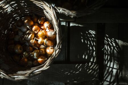 an old basket of onions in the cellarの写真素材