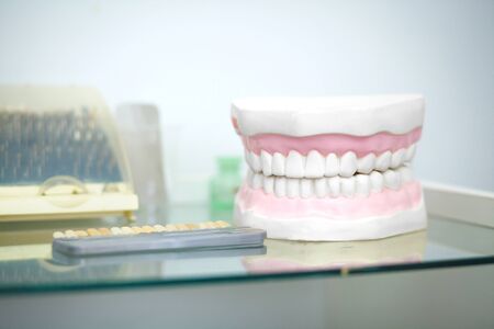 Dental jaw model in dentist's office