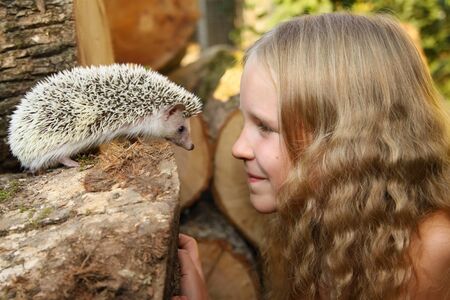beautiful little girl with her pet African pygmy hedgehogの写真素材