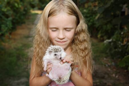 beautiful little girl with her pet African pygmy hedgehogの写真素材