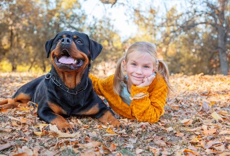 Young cute blonde girl child and her German Rottweiler dog lying and posing in autumn leaves. Friendship, pet and kid.の写真素材