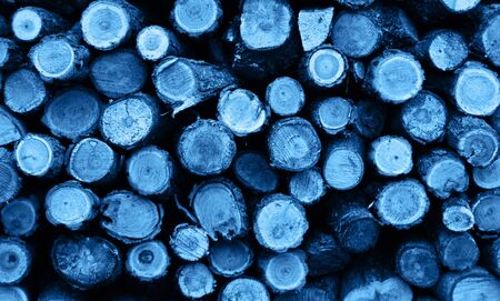 Classic blue color dark old wooden texture background. Concept color of the year 2020. Copy space. Grunge texture.の写真素材