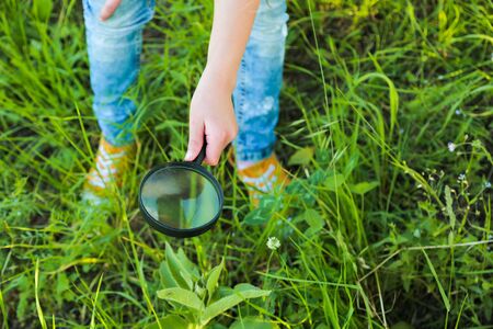 Little girl child looking through a magnifying glass. Closeup portrait on nature, summer adventures.の写真素材