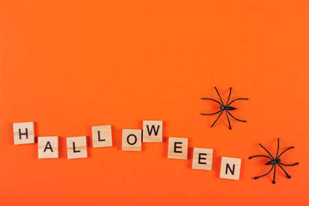 Halloween banner with wooden letters, spiders on orange backgroundの写真素材