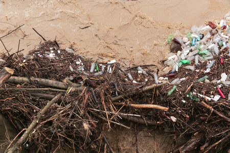 River after flood with plastic and wood pollution . Vlasina river, Serbia. Ecology problem.の写真素材