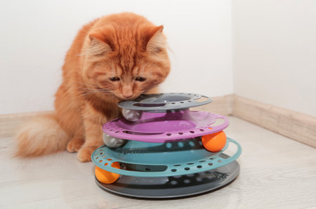Red cute cat playing with his toy, spiral colorful tower with ballsの写真素材