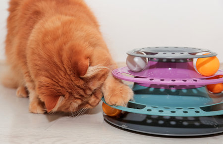 Red cute cat playing with his toy, spiral colorful tower with ballsの写真素材