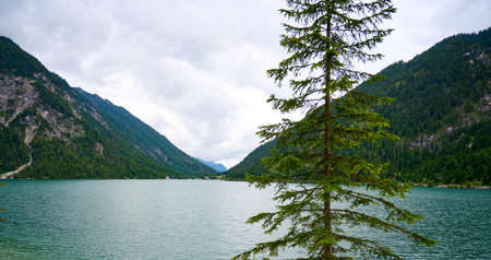 View towards the plansee lake in Austria, with a tree in the foreground. Wide view through two mountains with cyan colored water.の写真素材