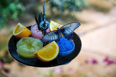 Collection of butterflies feasting on orangesの写真素材
