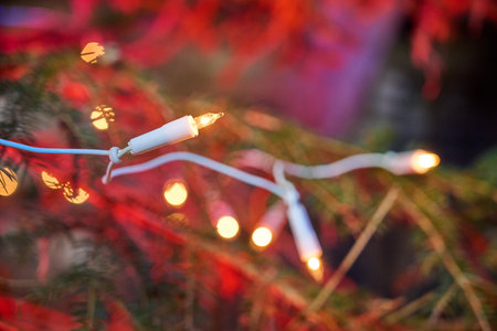 Detail image of a string of lights on a Christmas tree. With a reddish and cozy background.の写真素材