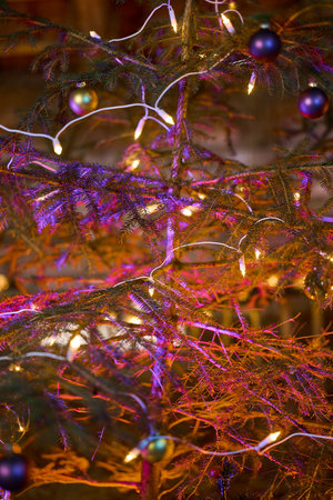 The center of a Christmas tree decorated with baubles and lights. Illuminated with red and purple colors for a special and warm feeling.の写真素材