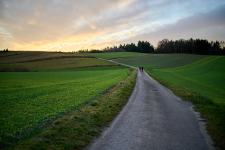 Road between fields in a rural area. With a yellow and blue sunset. High-Danamic-Range (HDR)の写真素材